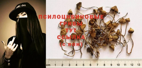 соль ск Алзамай