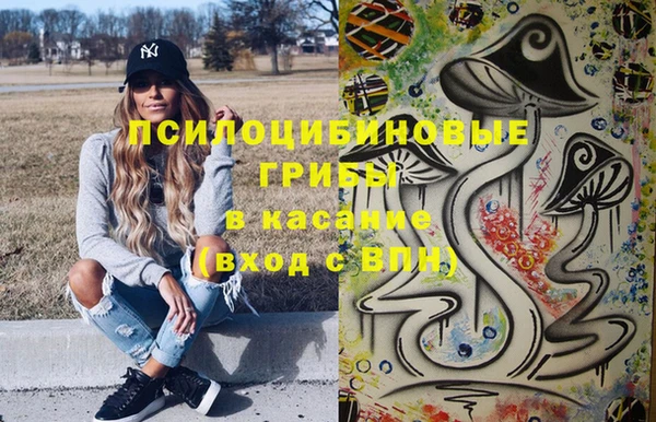 соль ск Алзамай