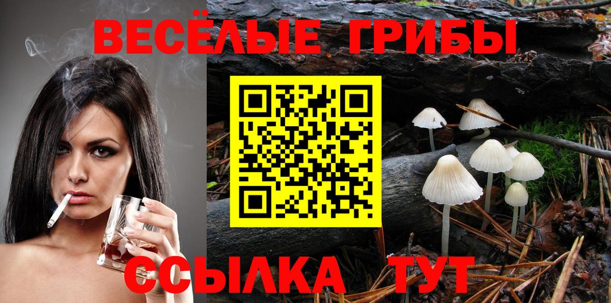 Галлюциногенные грибы прущие грибы  Вход с VPN  Лесосибирск 