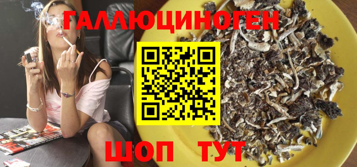 Псилоцибиновые грибы Cubensis Лесосибирск